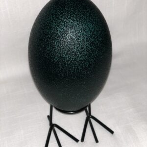 Blown Out Eggs for Crafts