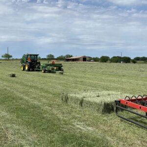 Quality Fertilized Coastal Horse Hay